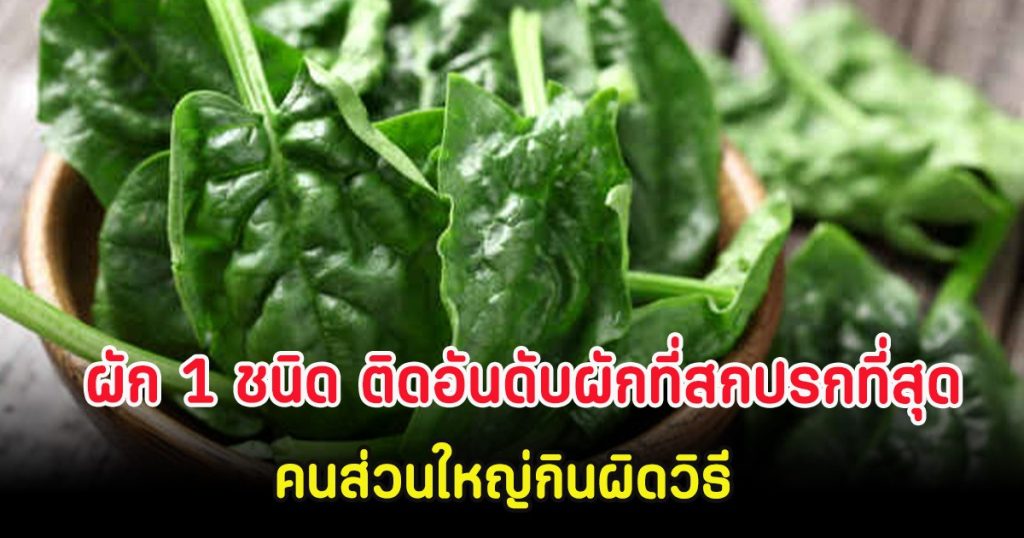 ผัก 1 ชนิด ติดอันดับผักที่สกปรกที่สุด คนส่วนใหญ่กินผิดวิธี