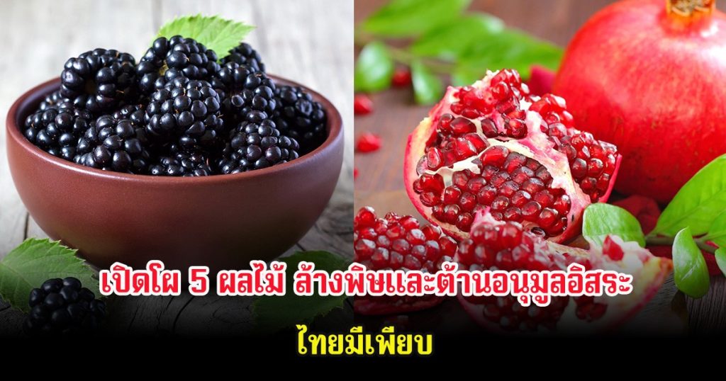 เปิดโผ 5 ผลไม้ ล้างพิษและต้านอนุมูลอิสระ ไทยมีเพียบ