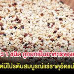 พืชจิ๋ว 1 ชนิด ถูกยกเป็นอาหารของคนจน เเต่มีโปรตีนสมบูรณ์แร่ธาตุอัดแน่น