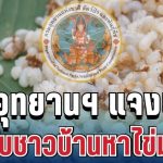 กรมอุทยานฯ แจงแล้ว! กรณีจับชาวบ้านหาไข่มดแดง