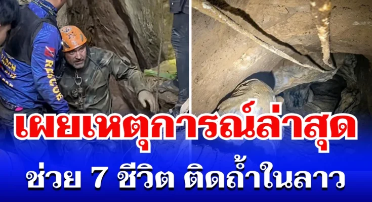งาดำมีประโยชน์ แต่ไม่ใช่กับทุกคน! เช็กด่วน คุณอยู่ในกลุ่มเสี่ยงหรือไม่