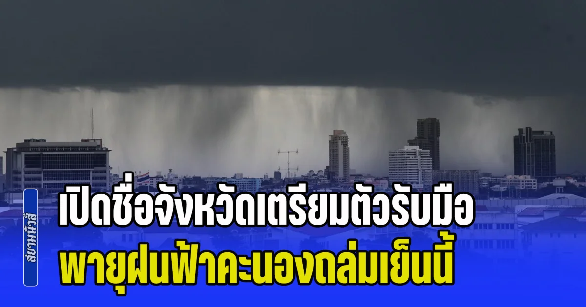 ไทยมีเพียบ! 1 ผักพื้นบ้าน กินต้านสมองเสื่อม-มะเร็ง แต่ต้องระวังห้ามกินคู่กับอาหาร2ชนิดนี้