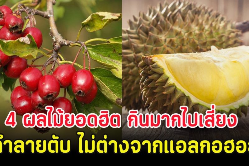 เปิดโผ 4 ผลไม้ยอดฮิต กินมากไปเสี่ยง ทำลายตับ ไม่ต่างจากแอลกอฮอล์