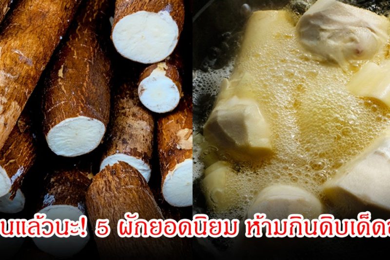 เตือนแล้วนะ! 5 ผักยอดนิยม หลายคนชอบกิน ผู้เชี่ยวชาญเผยห้ามกินดิบเด็ดขาด เสี่ยงสารพิษร้ายแรงมาก