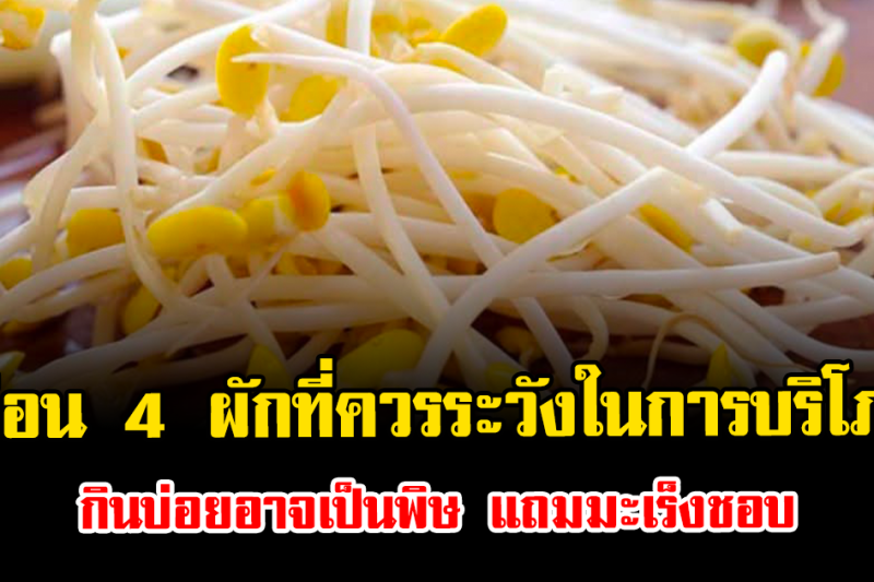 เตือน 4 ผักที่ควรระวังในการบริโภค กินบ่อยอาจเป็นพิษ แถมมะเร็งชอบ