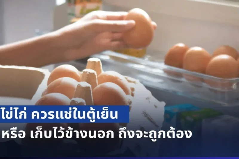 หลายคนเข้าใจผิดมาตลอด! ไข่ไก่ ควรแช่ในตู้เย็น หรือ เก็บไว้ข้างนอก ถึงจะถูกต้อง