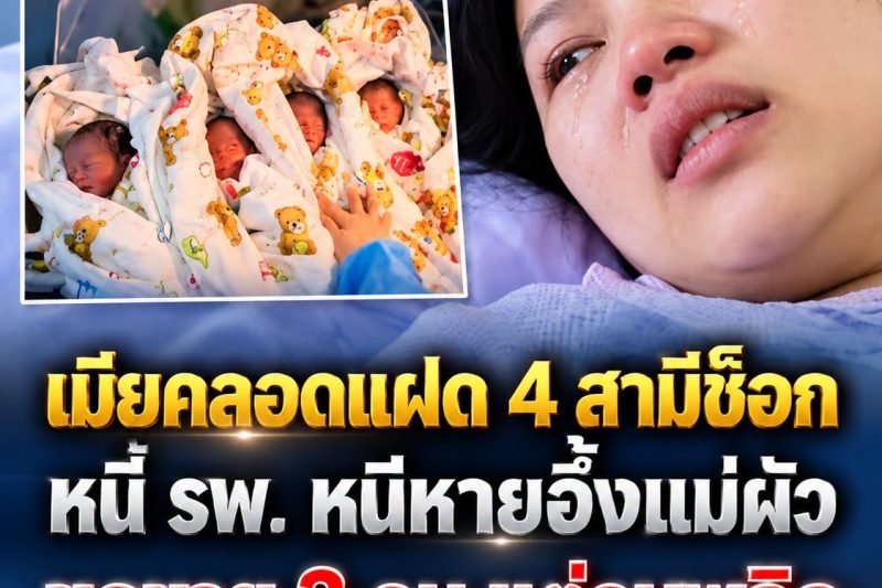 เมียคลอดลูกแฝด 4 สามีช็อกหนีหาย แม่ผัวเสนอขายหลาน 3 คน เจอคำตอบสะใภ้ถึงกับอึ้ง!…ดูเพิ่มเติม
