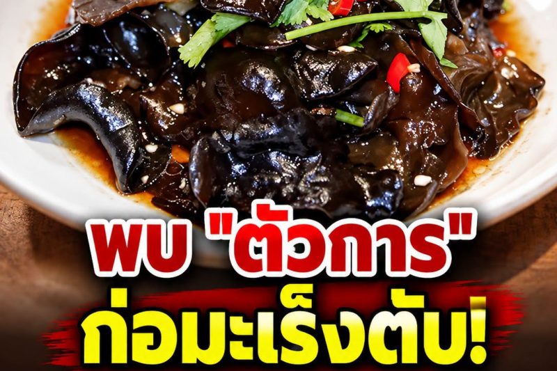 หมอเตือน! พบตัวการเสี่ยงมะเร็งตับ พิษร้ายแรงกว่าสารหนู 68 เท่า แต่หลายบ้านยังเผลอกินซ้ำ ๆ