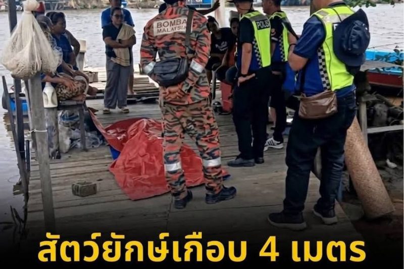 ช็อก!! “สัตว์ประหลาด” ยาวเกือบ 4 เมตร พุ่งจากน้ำลากหญิงวัย 78 ลงจากเรือต่อหน้าลูก..ดูเพิ่มเติม..