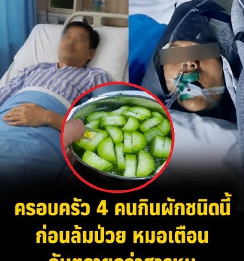 ครอบครัว 4 คนกินผักชนิดนี้ ก่อนล้มป่วยพร้อมกัน หมอเตือน “อันตรายกว่าสารหนู” หลายคนยังกินอยู่…ดูเพิ่มเติม!!