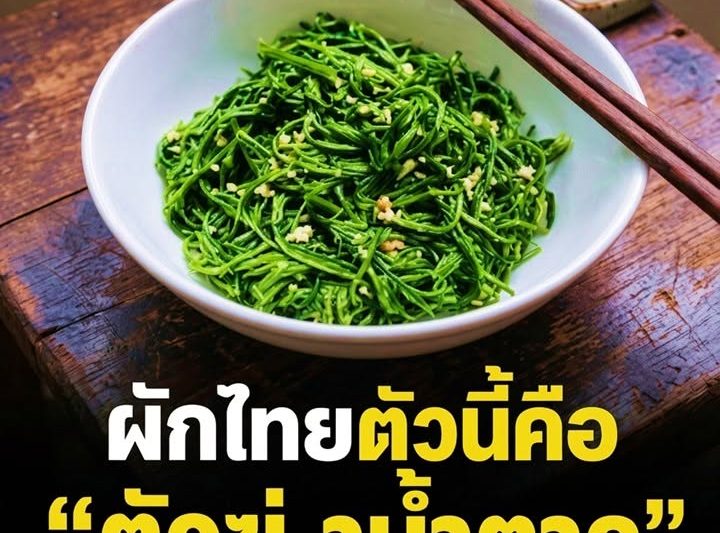 ไม่หน้าเชื้อ ผักไทยตัวนี้คือ “ตัวฆ่.าน้ำตาล” ของจริง! เบาหวานกลัวที่สุด นักวิจัยญี่ปุ่นยกย่องสรรพคุณ …ดูเพิ่มเติม..