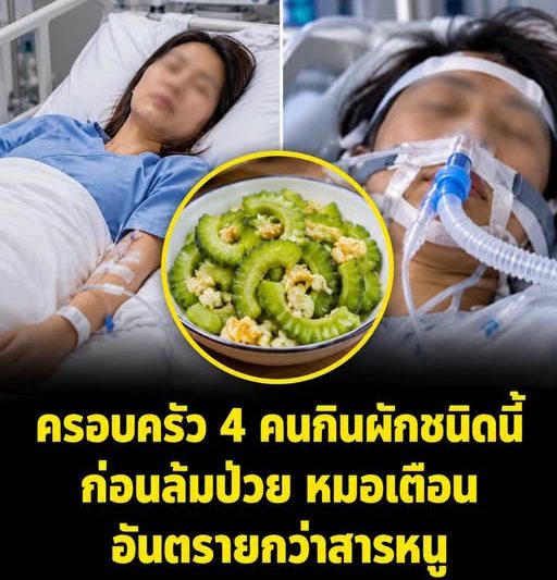 ครอบครัว 4 คนกินผักชนิดนี้ ก่อนล้มป่วยพร้อมกัน หมอเตือน “อันตรายกว่าสารหนู” หลายคนยังกินอยู่ …ดูเพิ่มเติม..