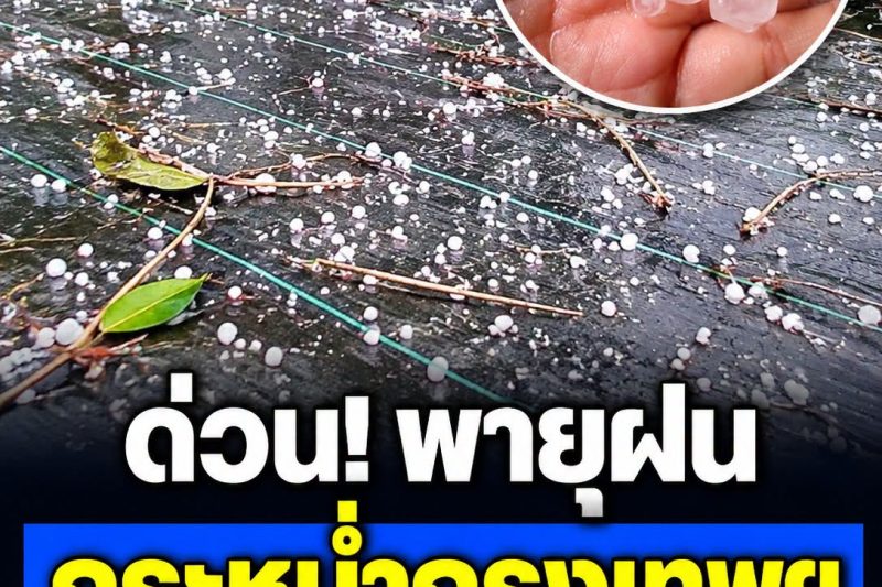 ด่วน! พายุฝนถล่มกรุงเทพฯ หลายพื้นที่เจอลูกเห็บตกหนัก 🌧️🧊 ดูเพิ่มเติม: